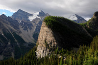The Beehive