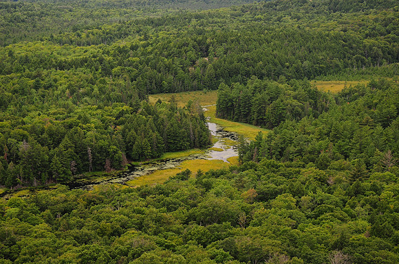 Kirk Creek, from south of Little Mountain Lake