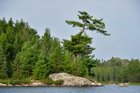 Bud Lake