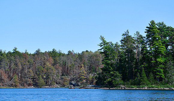 Sturgeon Lake, our first sign of the 2021 forest fires