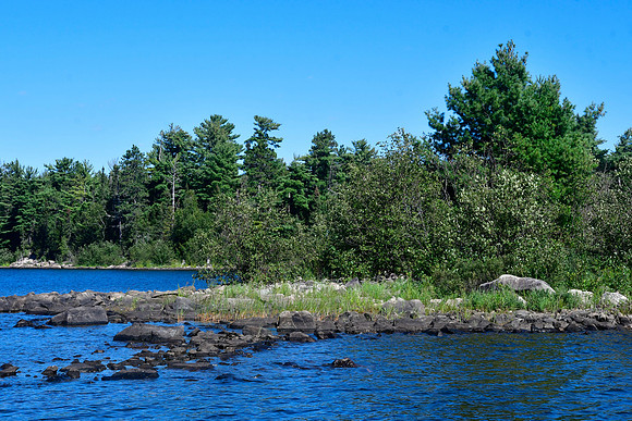 Island, Quetico Lake