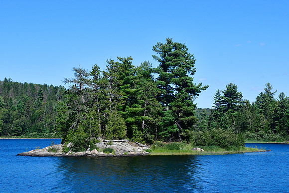 Island, Quetico Lake