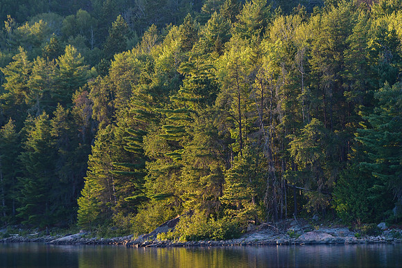 Evening light, Quetico Lake