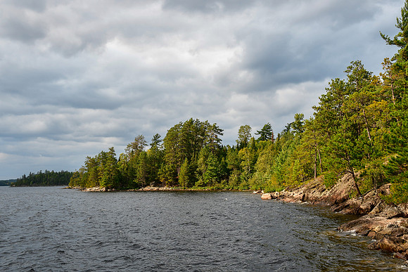 Lookout Island, Pickerel Lake