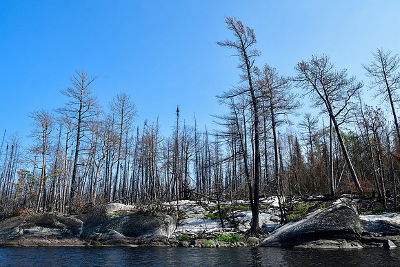 Sturgeon Lake, 2021 forest fire damage