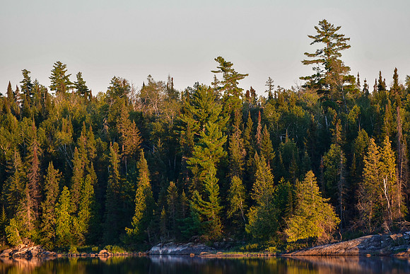 Evening light, Fern Lake