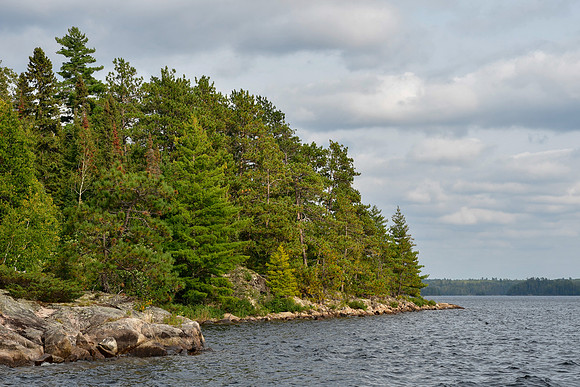 Lookout Island, Pickerel Lake