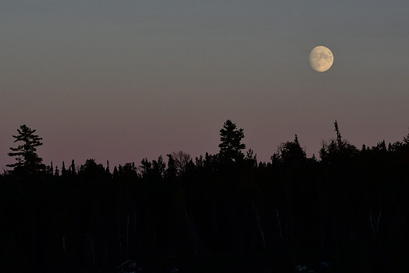 Moonrise, Fern Lake