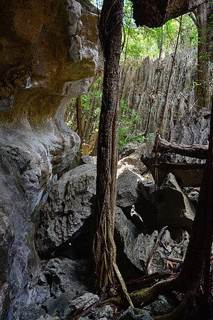 The Big Tsingy, Tsingy de Bemaraha National Park