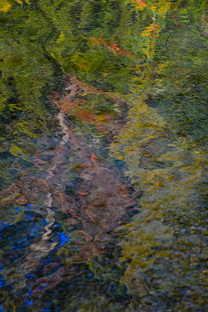 Reflection on George Lake