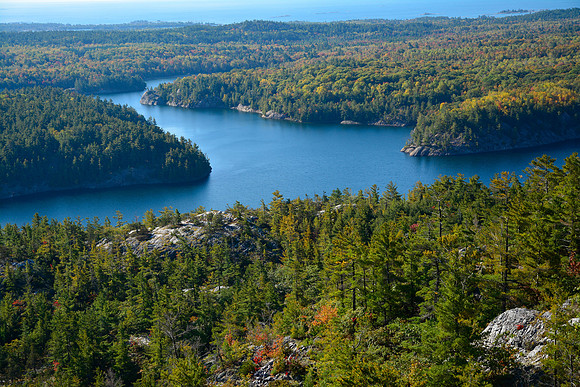 Looking southwest from the north side of George Lake