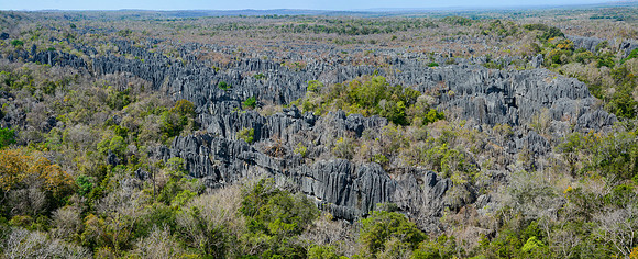 The Big Tsingy, Tsingy de Bemaraha National Park