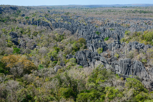 The Big Tsingy, Tsingy de Bemaraha National Park