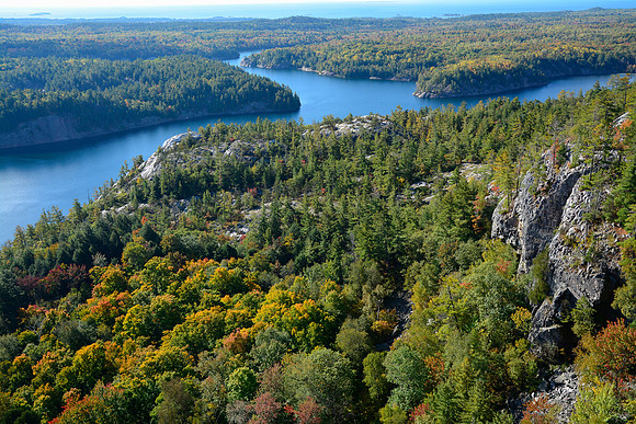 Looking southwest from the north side of George Lake