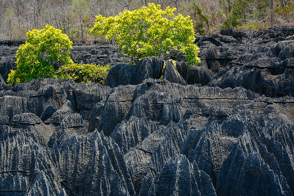 The Little Tsingy, Tsingy de Bemaraha National Park