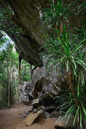 The Big Tsingy, Tsingy de Bemaraha National Park