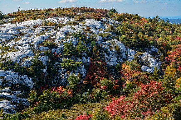 Part of the ridge southeast of Silver Peak
