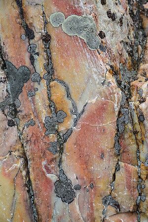 Quartzite