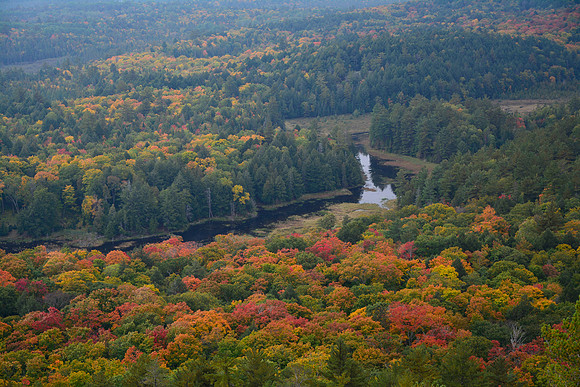 Kirk Creek, from south of Little Mountain Lake