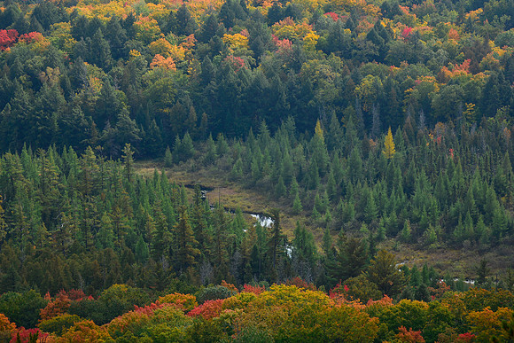 Kirk Creek, from south of Little Mountain Lake