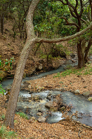 Rincón de la Vieja National Park