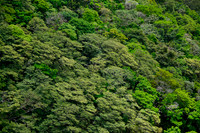 Rincón de la Vieja National Park