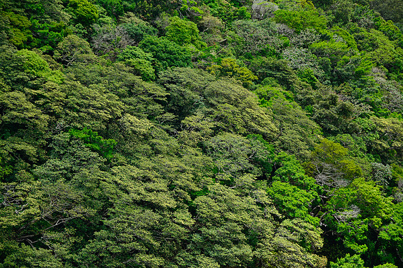 Rincón de la Vieja National Park