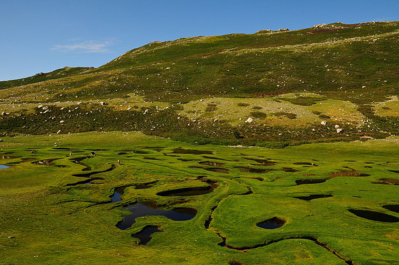 Pozzine south of Monte Renoso