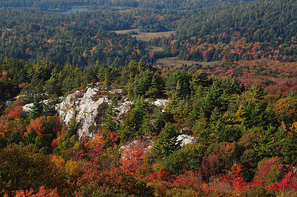 Looking northwest from the ridge on the north side of the portage from Killarney Lake to Threenarrows Lake