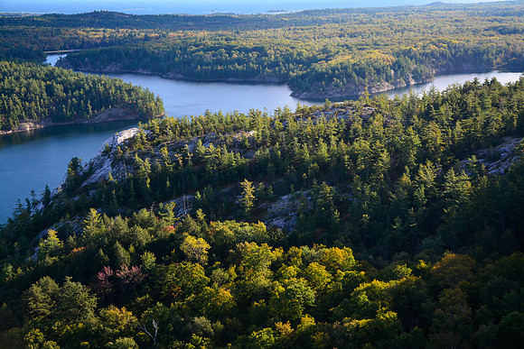 Looking southwest from the north side of George Lake
