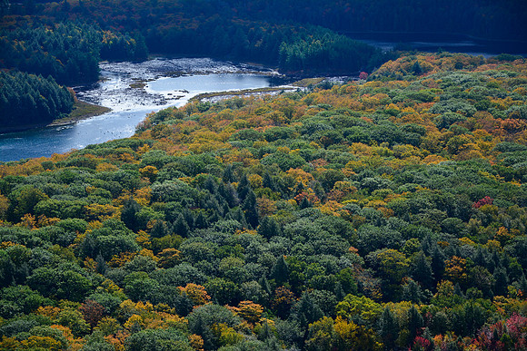 The south end of Killarney Lake