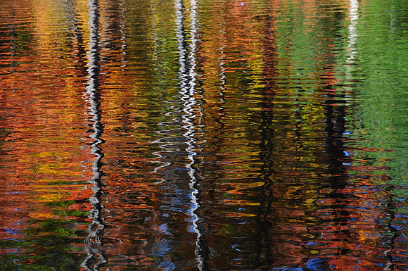 Reflections in a pond beside the portage from Killarney Lake to Threenarrows Lake