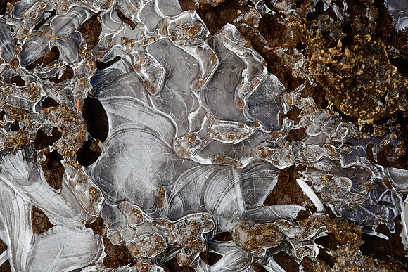 Patterns in the ice, Parc de la Gaspésie