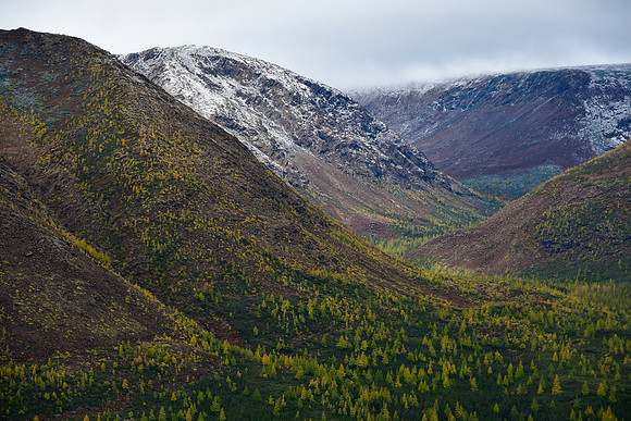 The Ruisseau du Diable from the summit of Mont Olivine, Parc de la Gaspésie