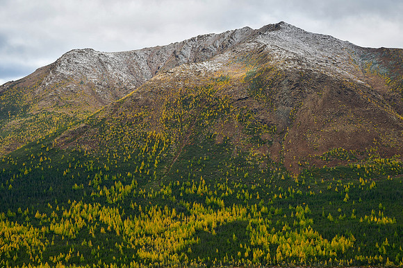 The southern end of Mont Albert from the summit of Mont Olivine, Parc de la Gaspésie