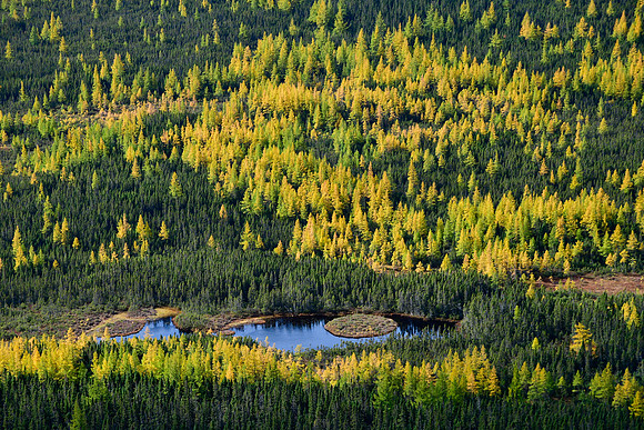 The ponds south of Lac du Diable from the summit of Mont Olivine, Parc de la Gaspésie