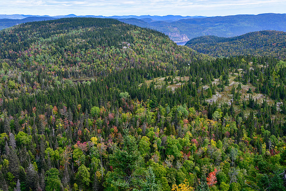 View toward the Anse Aimable from the Sentier des Caps, Parc du Fjord-du-Saguenay