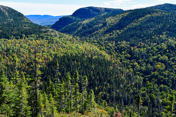 View toward the Anse Aimable from the Sentier des Caps, Parc du Fjord-du-Saguenay