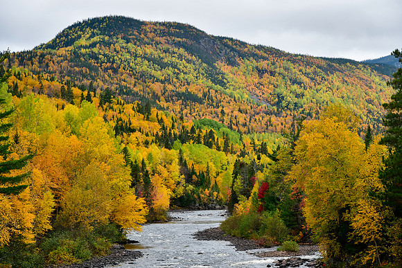 Looking up the Rivière Malbaie from the bridge, Parc des Hautes-Gorges-de-la-Rivière-Malbaie