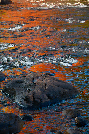 Autumn reflections on the Rivière Malbaie, Parc des Hautes-Gorges-de-la-Rivière-Malbaie