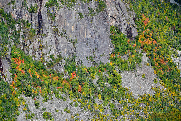 Autumn colours on Mont Felix-Antoine-Savard, Parc des Hautes-Gorges-de-la-Rivière-Malbaie