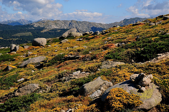 The Plateau di Coscione