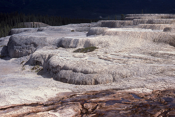 Tufa Mounds, Rabittkettle Hotsprings