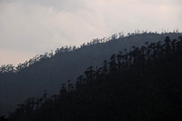 The view from the Sinchu La, Punakha Trek