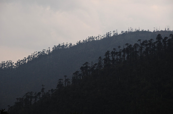 The view from the Sinchu La, Punakha Trek