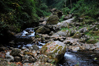 Punakha Trek