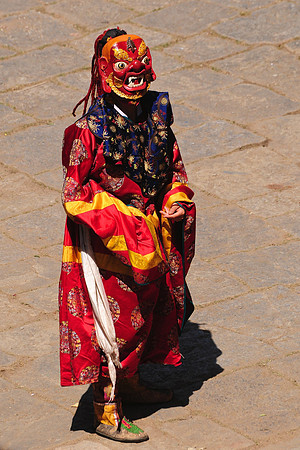 Masked dancer