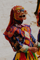 Masked dancer