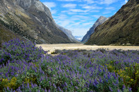 Looking back down the Quebrada Santa Cruz from Quishuar