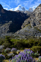 A side valley above Llamacorral
